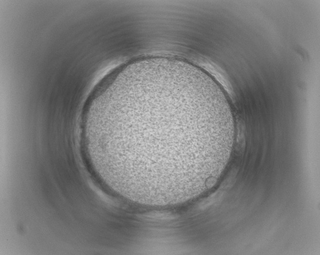 X0000114390578200911271500