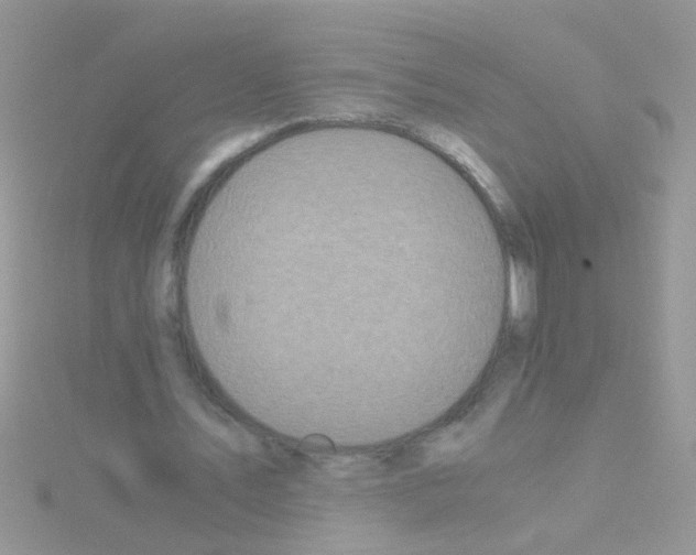 X0000114390579200911271500