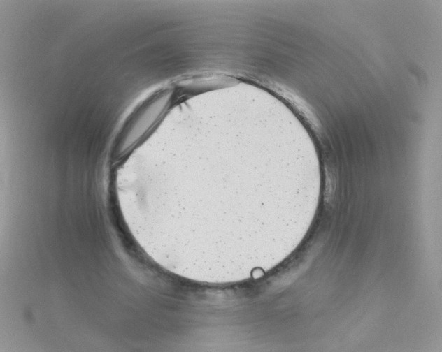 X0000114390580200911271500