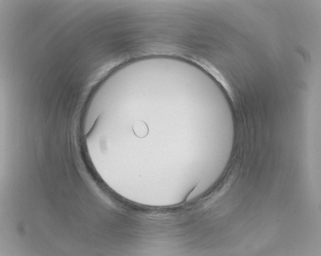 X0000114390581200911271500