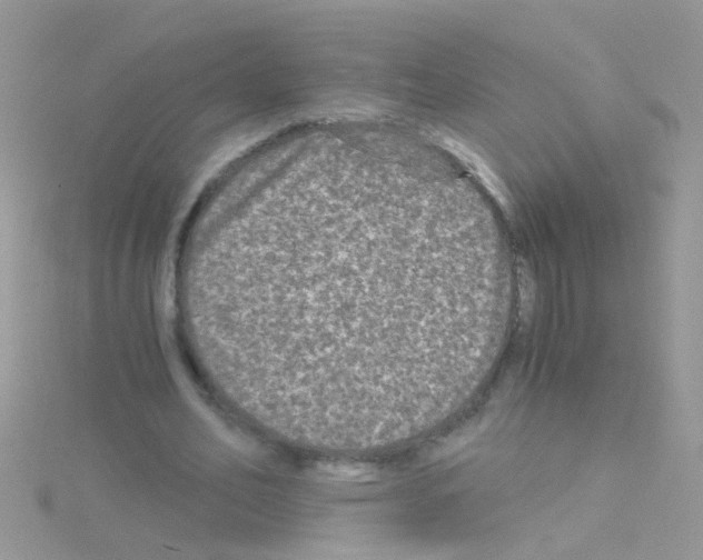 X0000114390582200911271500