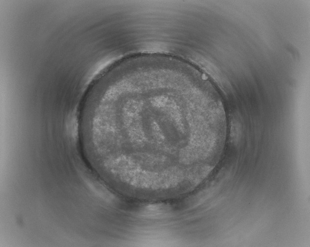 X0000114390584200911271500