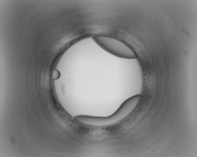 X0000114390587200911271500