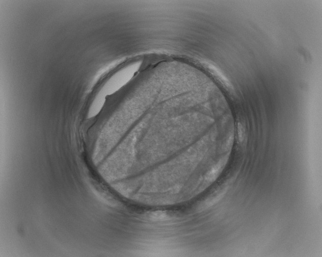 X0000114390588200911271500