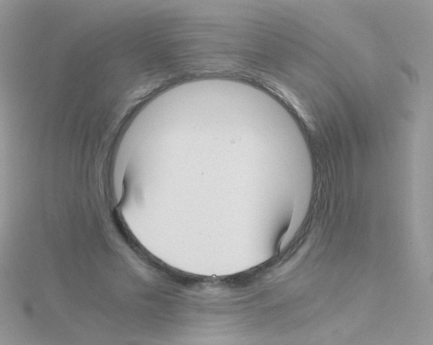 X0000114390589200911271500