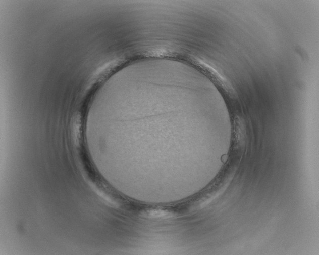 X0000114390590200911271500