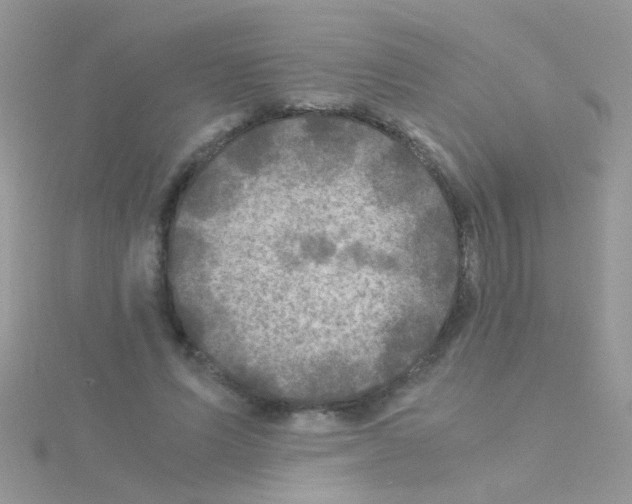 X0000114390591200911271500