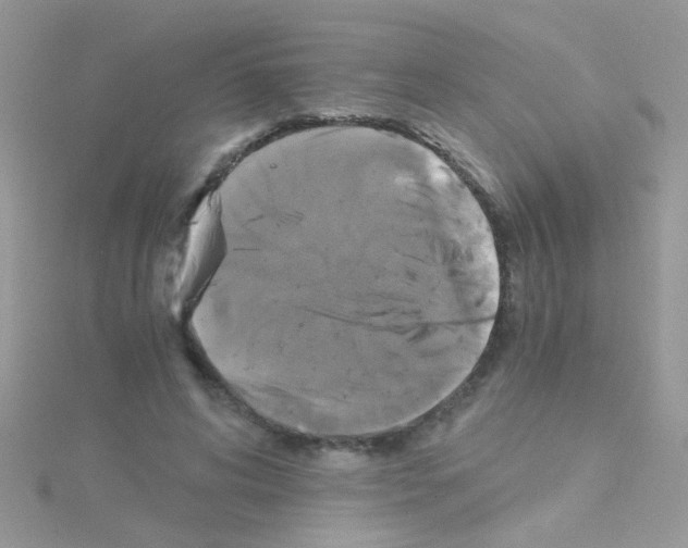 X0000114390592200911271500