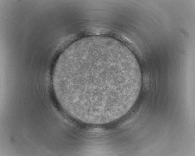 X0000114390594200911271500