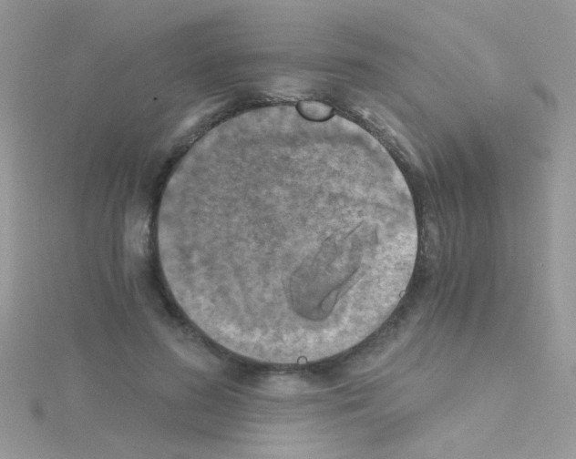 X0000114390596200911271500