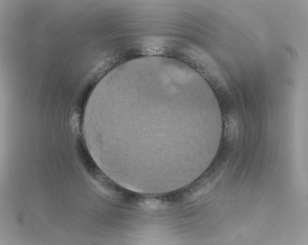 X0000114390598200911271500