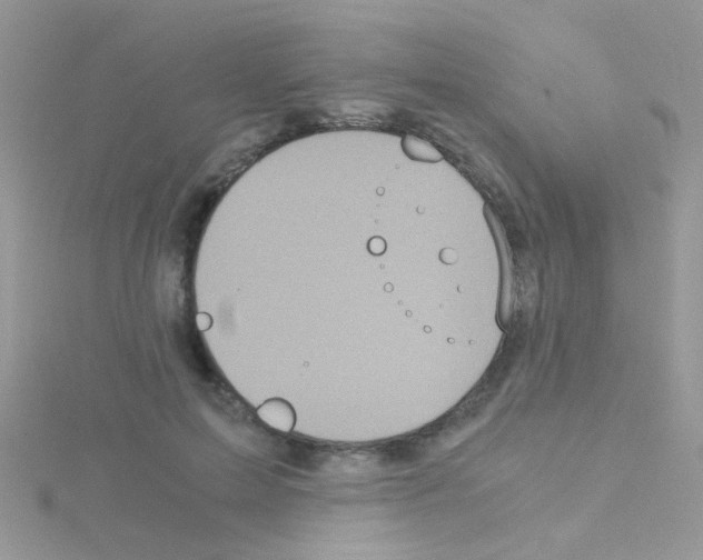 X0000114390599200911271500