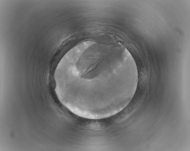 X0000114390600200911271500