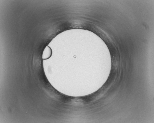 X0000114390603200911271500