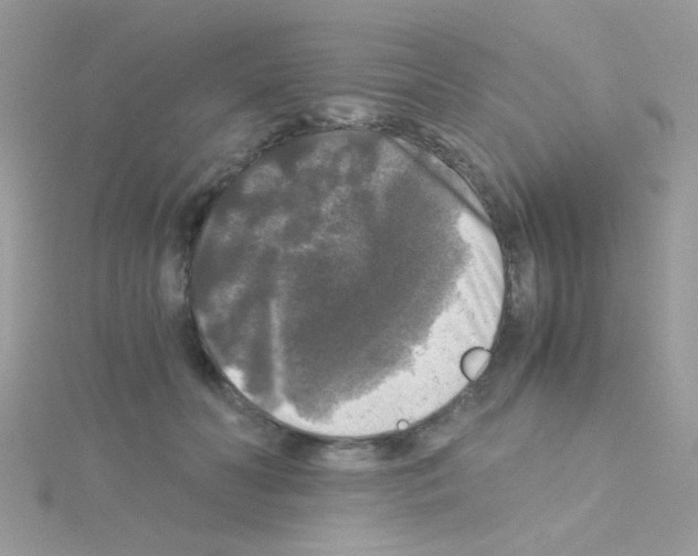 X0000114390606200911271500