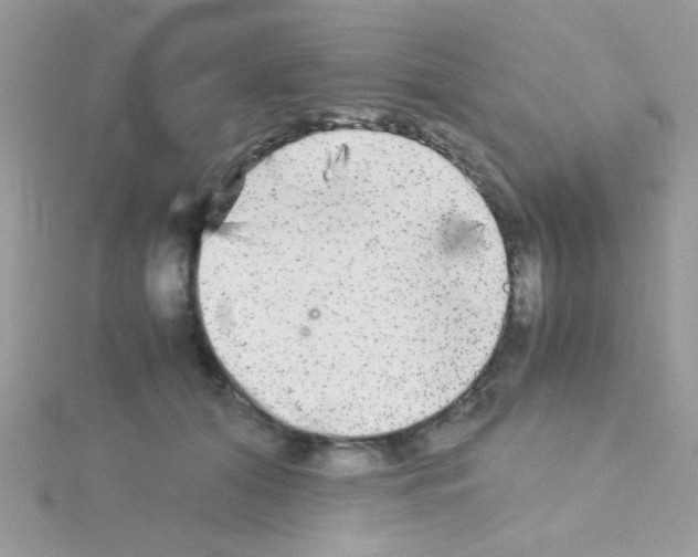 X0000114390608200911271500