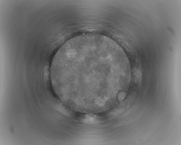 X0000114390612200911271500