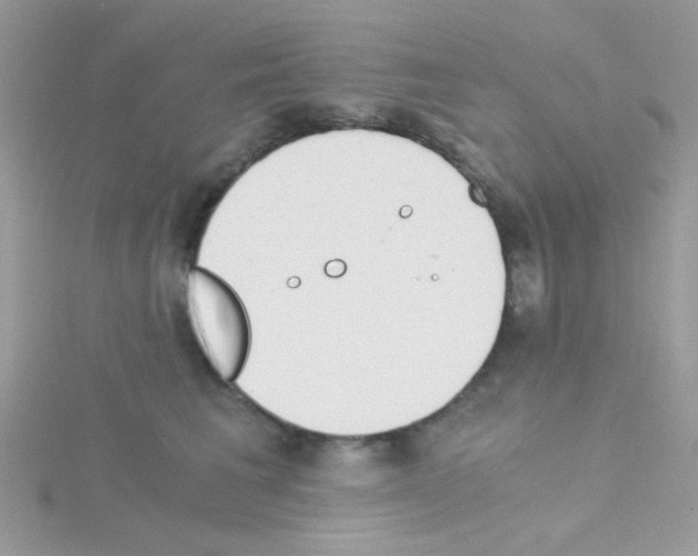 X0000114390613200911271500