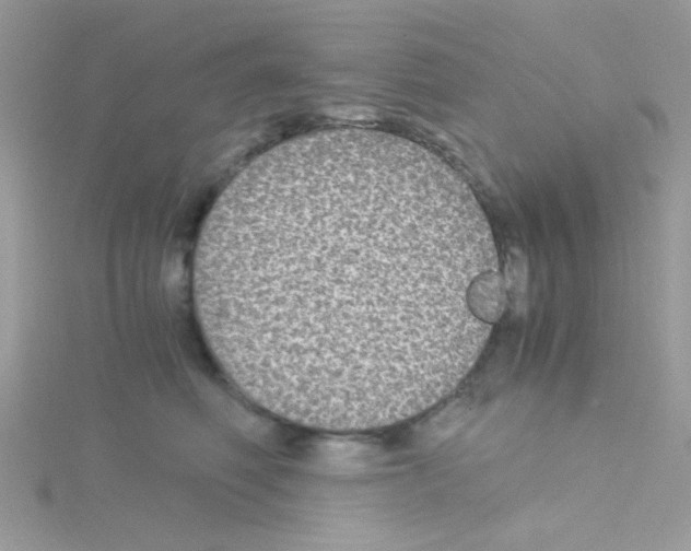 X0000114390614200911271500