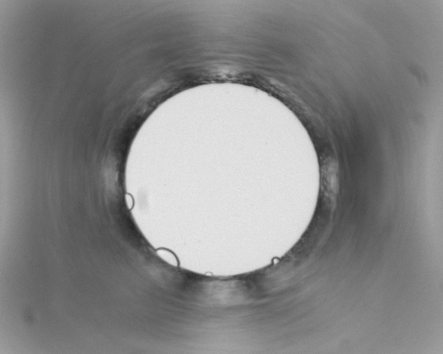 X0000114390615200911271500