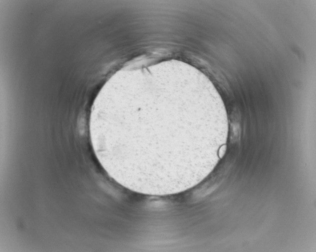 X0000114390620200911271500