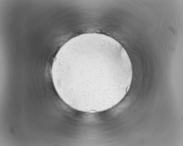 X0000114390624200911271500