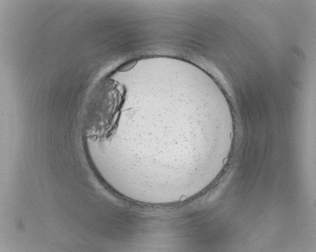 X0000114390625200911271459