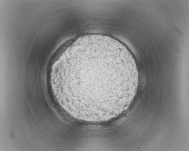 X0000114390626200911271459