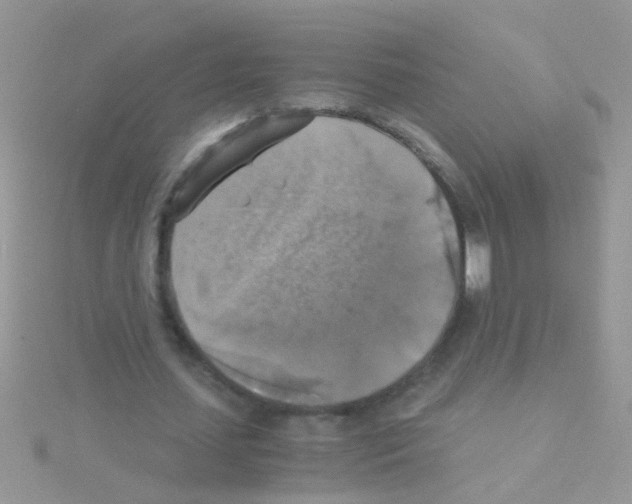 X0000114390627200911271459