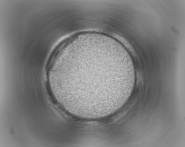 X0000114390628200911271459