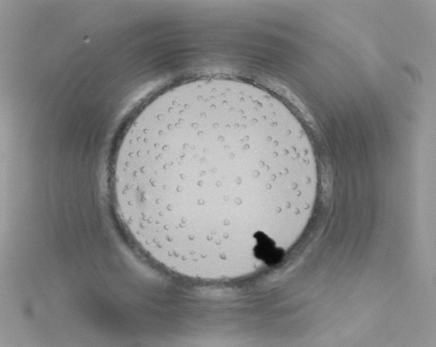 X0000114390629200911271459