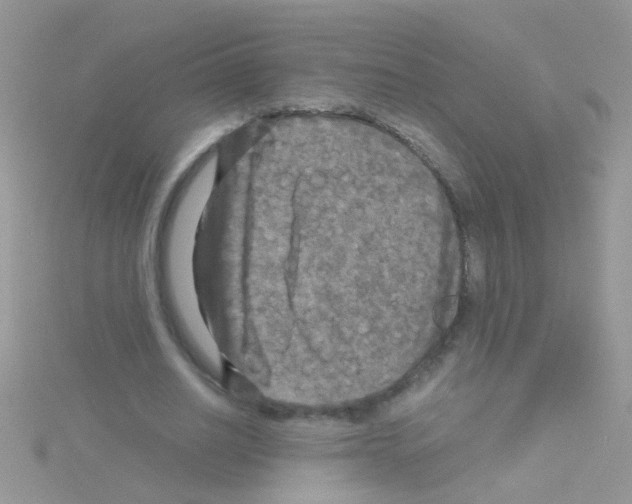 X0000114390630200911271459