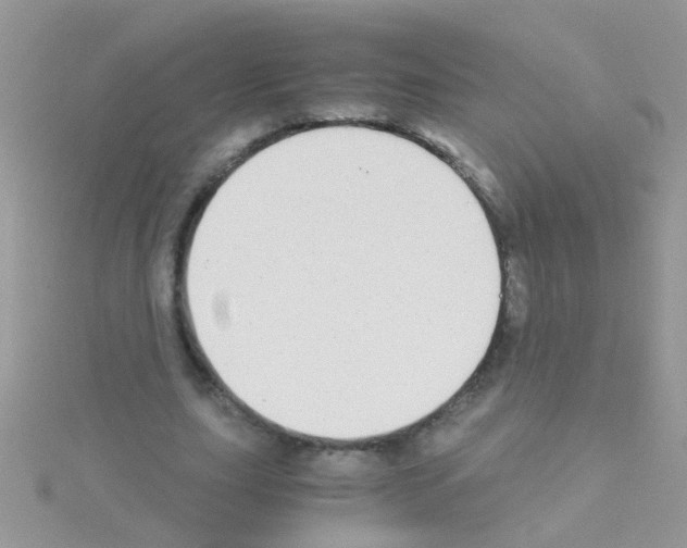 X0000114390631200911271459