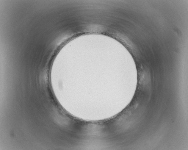 X0000114390632200911271459