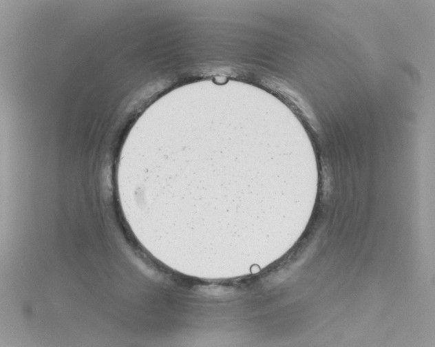 X0000114390633200911271459