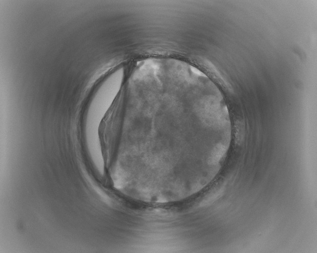 X0000114390634200911271459