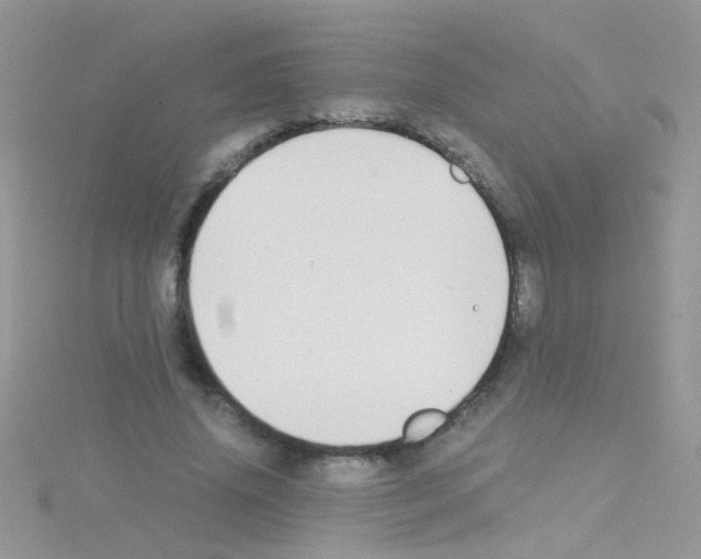 X0000114390636200911271459