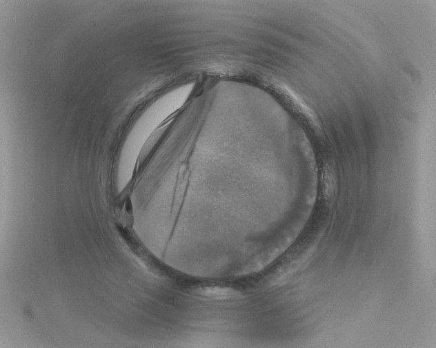 X0000114390637200911271459