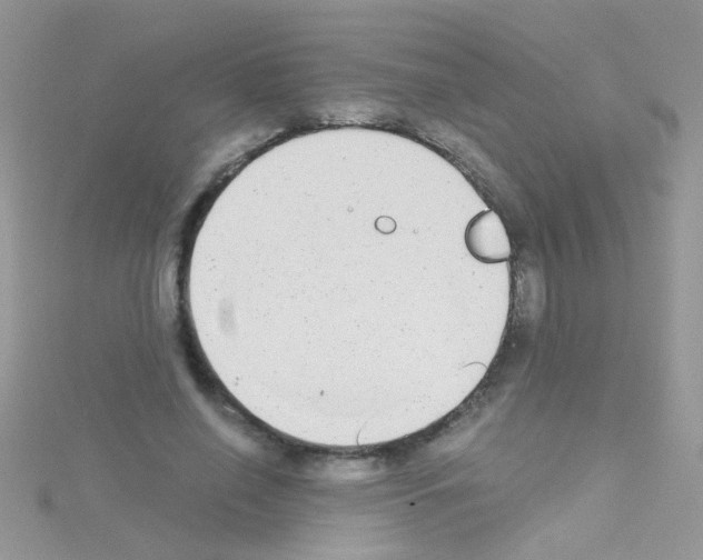 X0000114390638200911271459