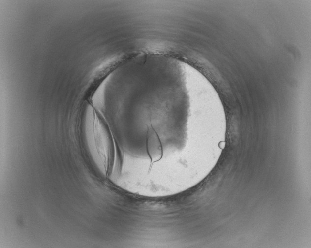 X0000114390640200911271459