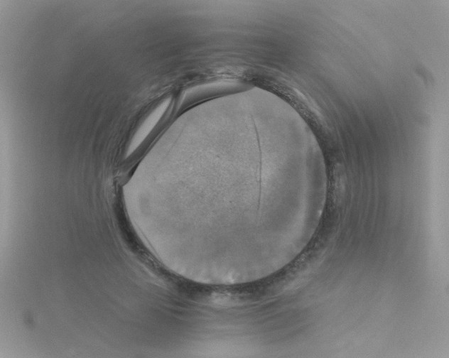 X0000114390641200911271459