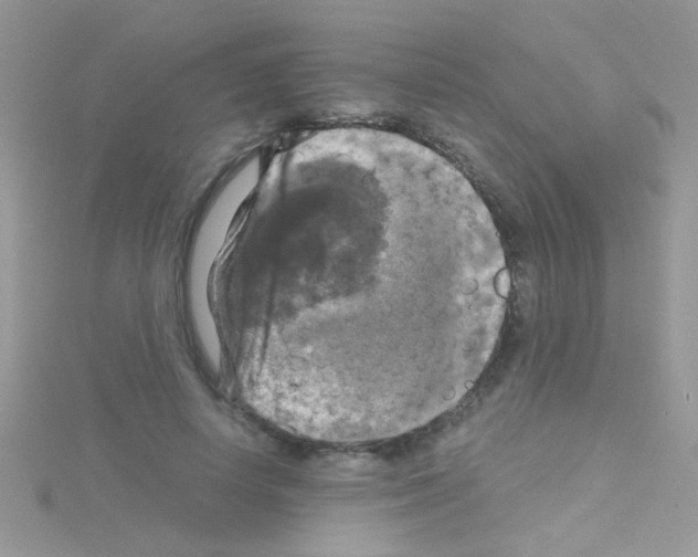 X0000114390642200911271459