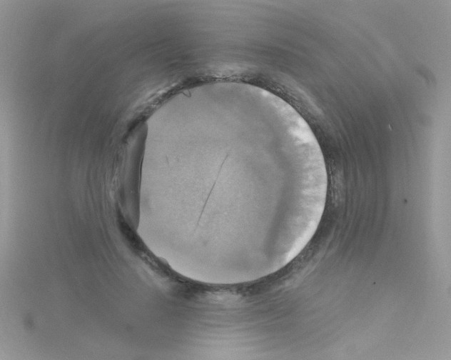 X0000114390644200911271459