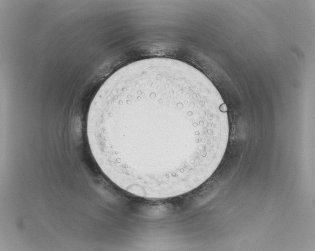 X0000114390646200911271459