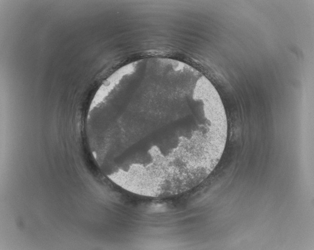 X0000114390647200911271459