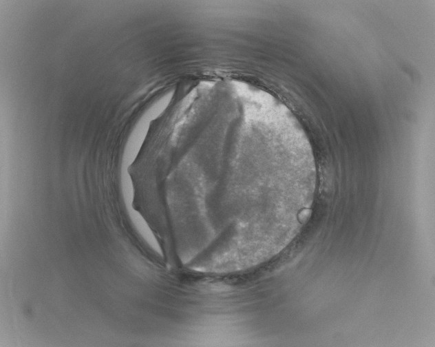 X0000114390648200911271459