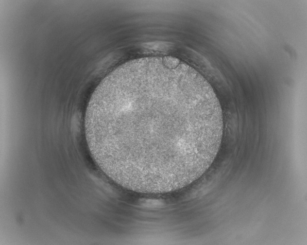 X0000114390649200911271459