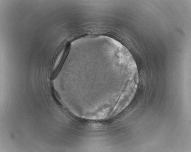 X0000114390650200911271459