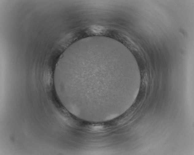 X0000114390651200911271459