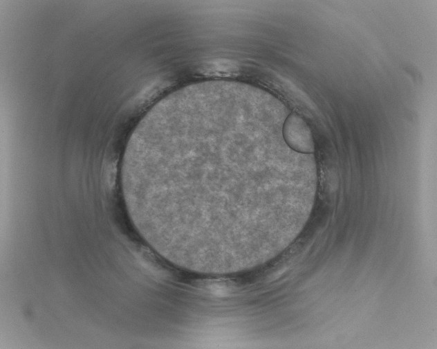 X0000114390652200911271459